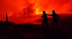 Incendios en Galicia 2020: más de 8.000 hectáreas quemadas