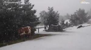 Los mejores vídeos de las nevadas con las que arranca mayo