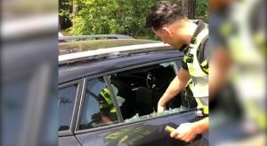 Rescatan a este perro atrapado en un coche en pleno episodio de calor
