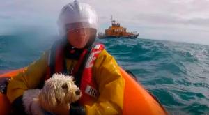 Rescate de una perra tras caer por un acantilado
