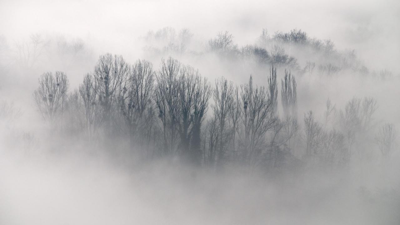 Resultado de imagen de niebla