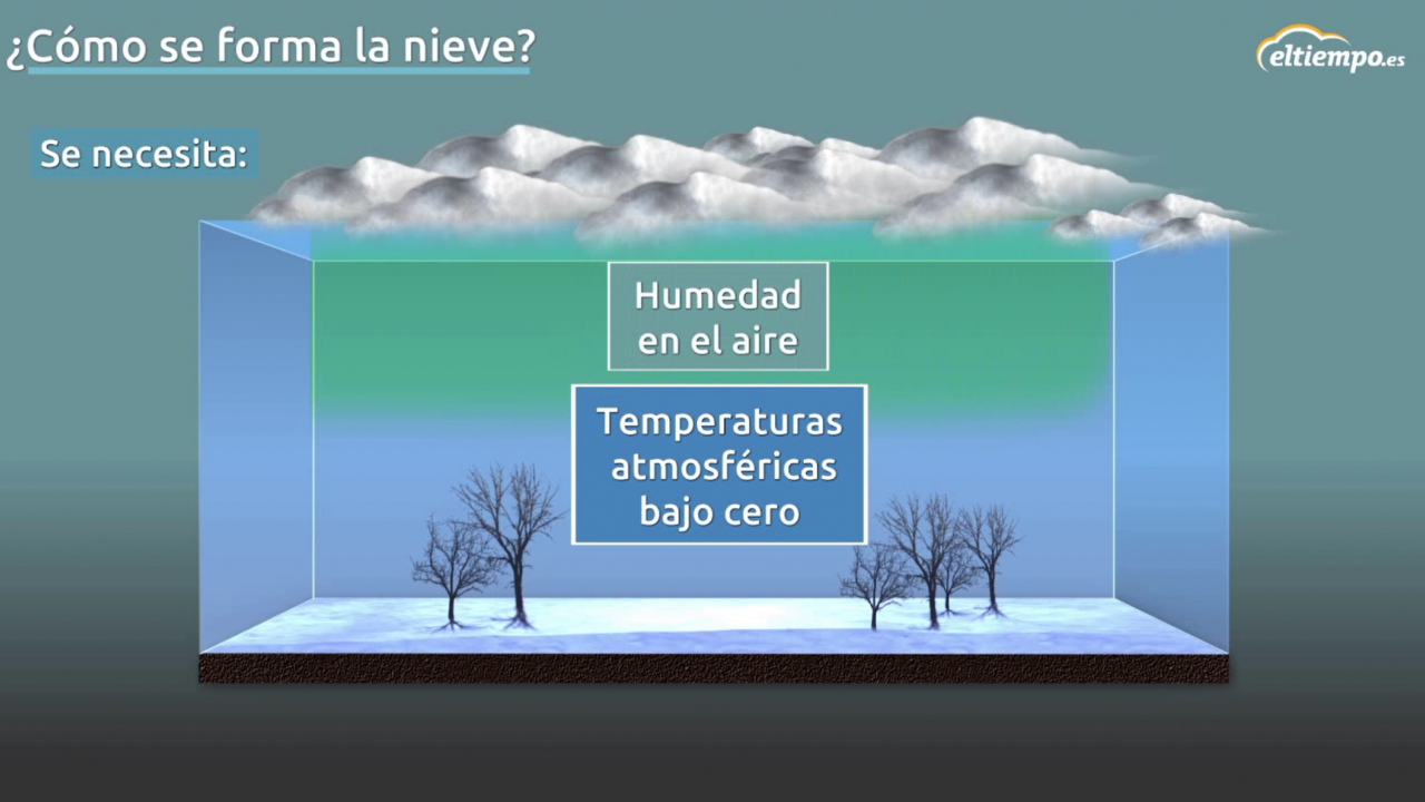 Como Se Forma La Nieve Explicacion Para Niños