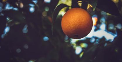 ¿Se puede hacer biogás con zumo de naranja? Sevilla ya lo está probando